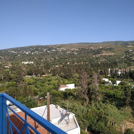 Anemone Bleu-Sea View-200M From Chora Pedestrian Apartment Andros Town Exterior photo