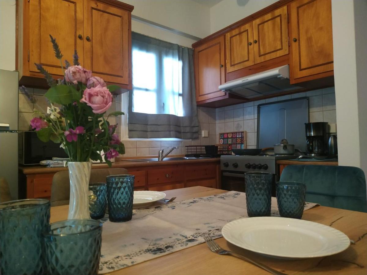 Anemone Bleu-Sea View-200M From Chora Pedestrian Apartment Andros Town Exterior photo